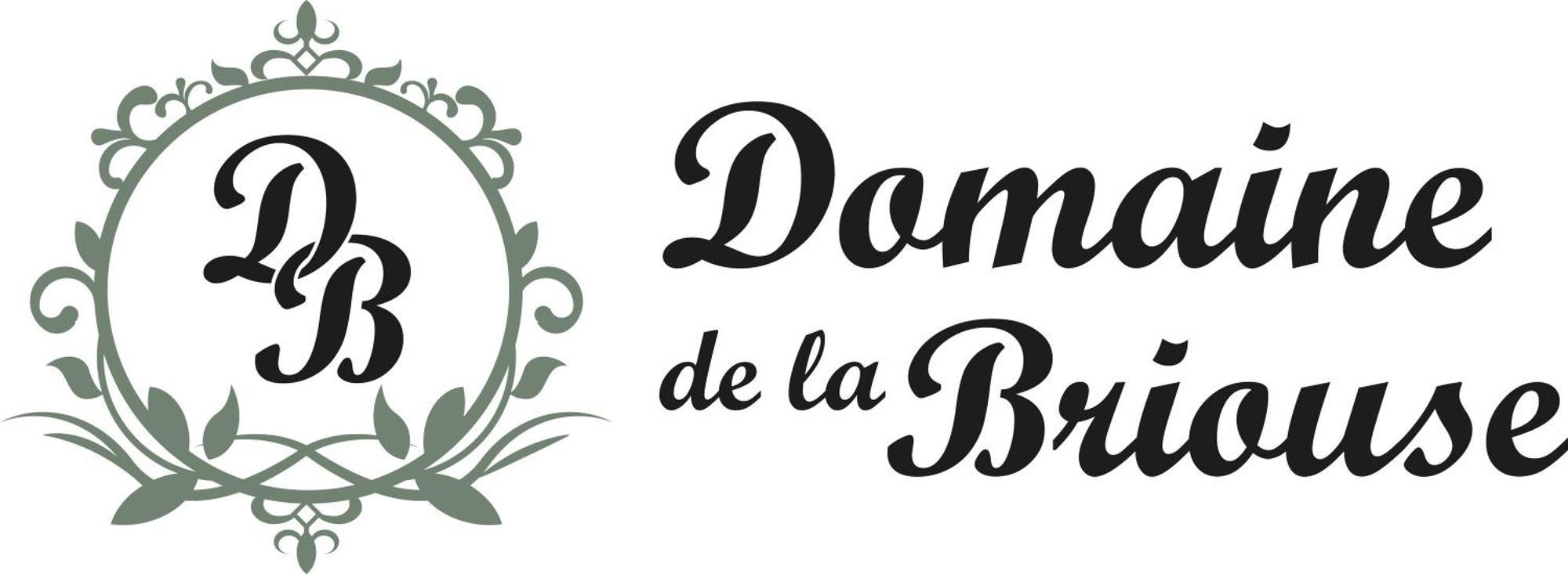 SanxayDomaine De La Briouse住宿加早餐旅馆 外观 照片